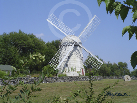 DSC01316