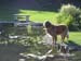 windridge_054
